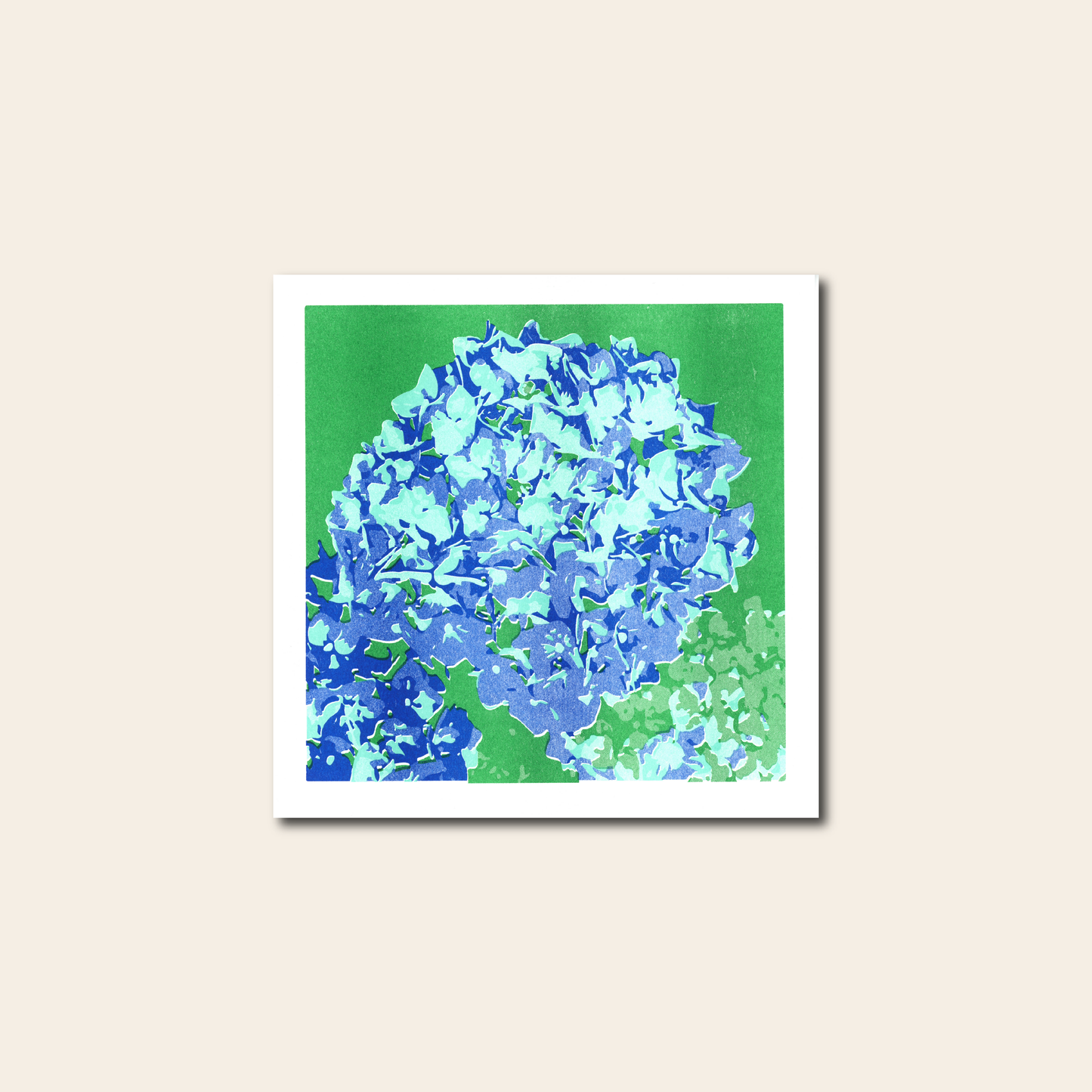 Hydrangea - Risograph Print, 8x8