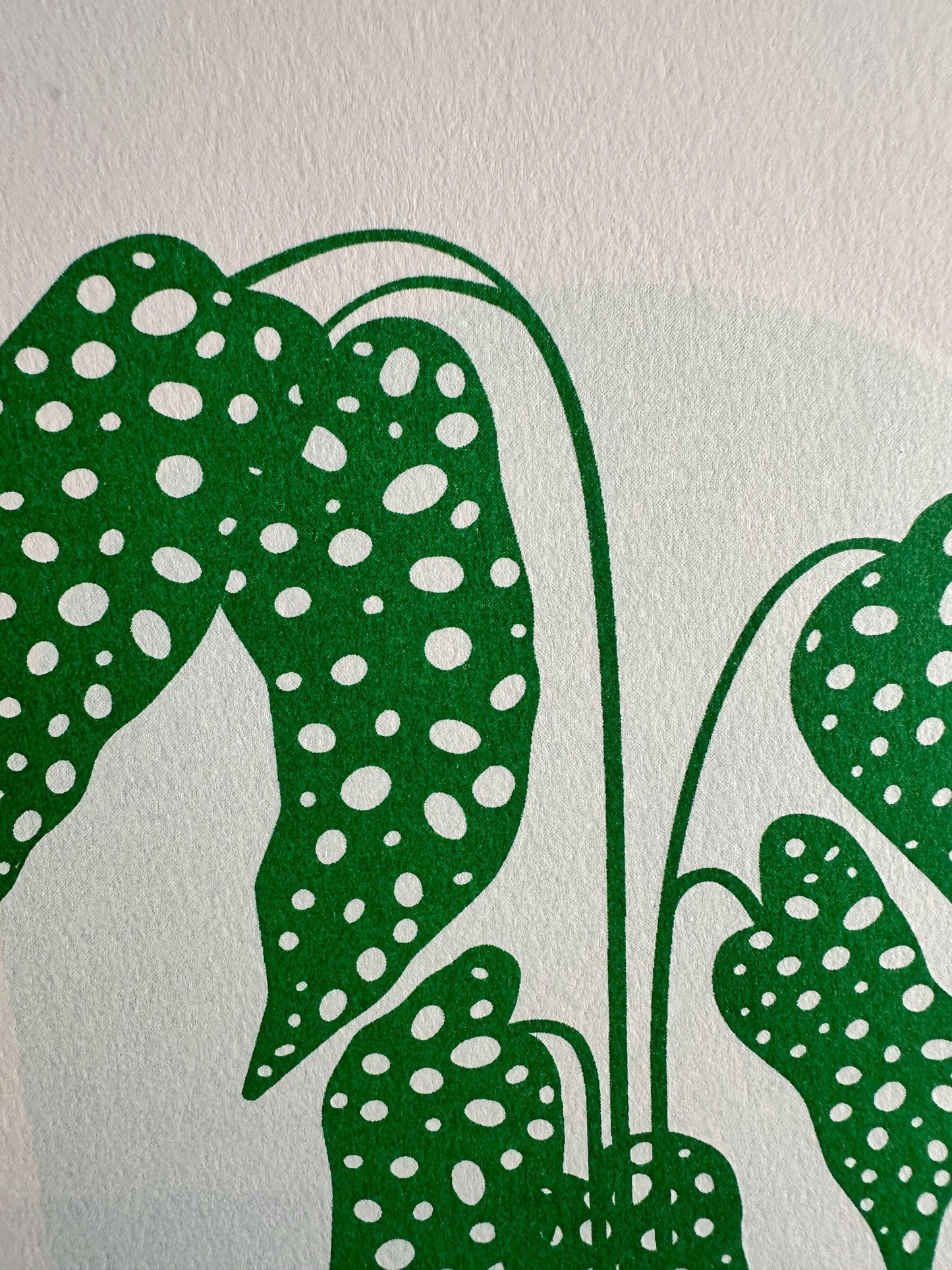 Monstera Plant - Risograph Print, 8x10