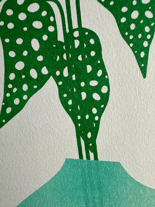 Monstera Plant - Risograph Print, 8x10