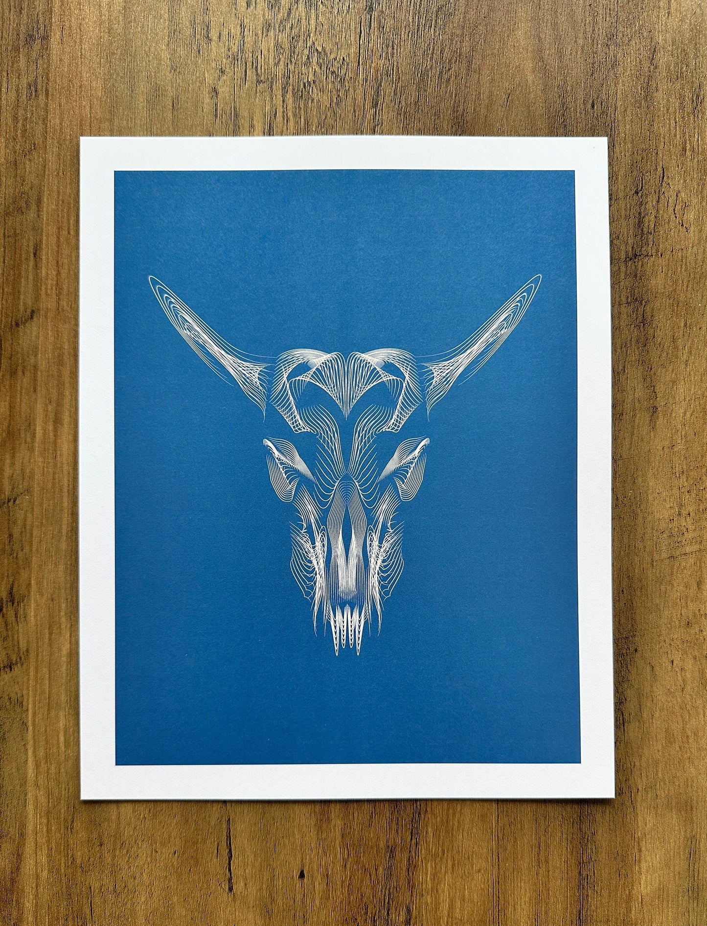 Bull Skull - Print, 8x10, 11x14