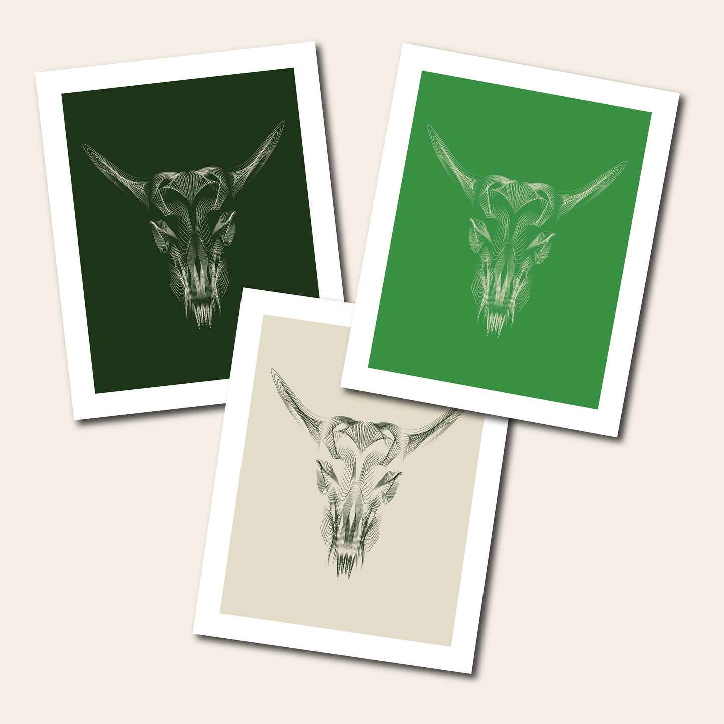 Bull Skull - Print, 8x10, 11x14